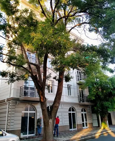 ЖК Беатрис галерея 2
